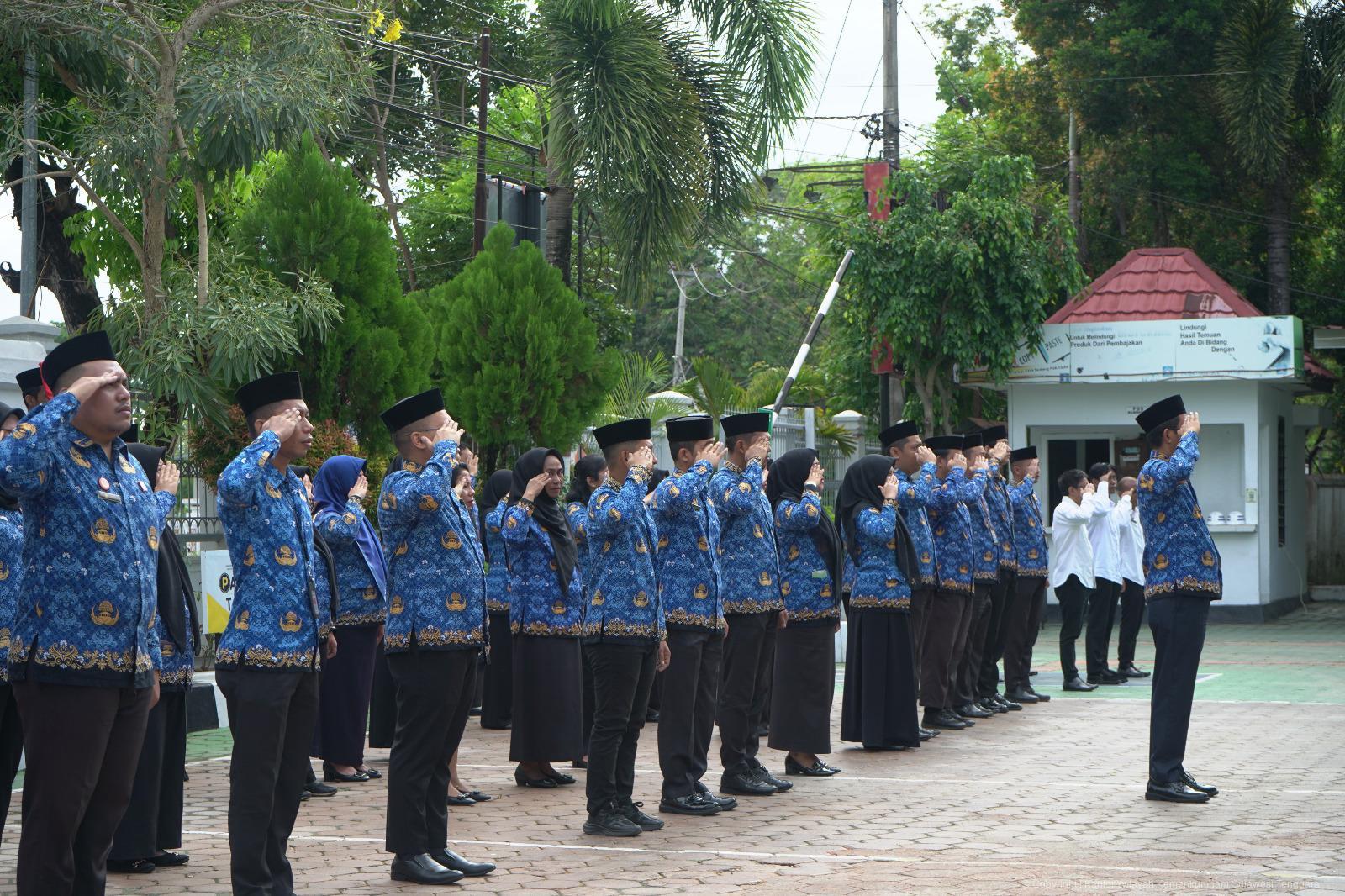 WhatsApp Image 2025 10 28 at 08.52.464